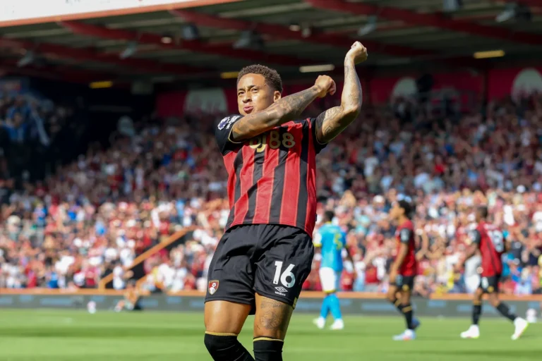 afcb tavernier